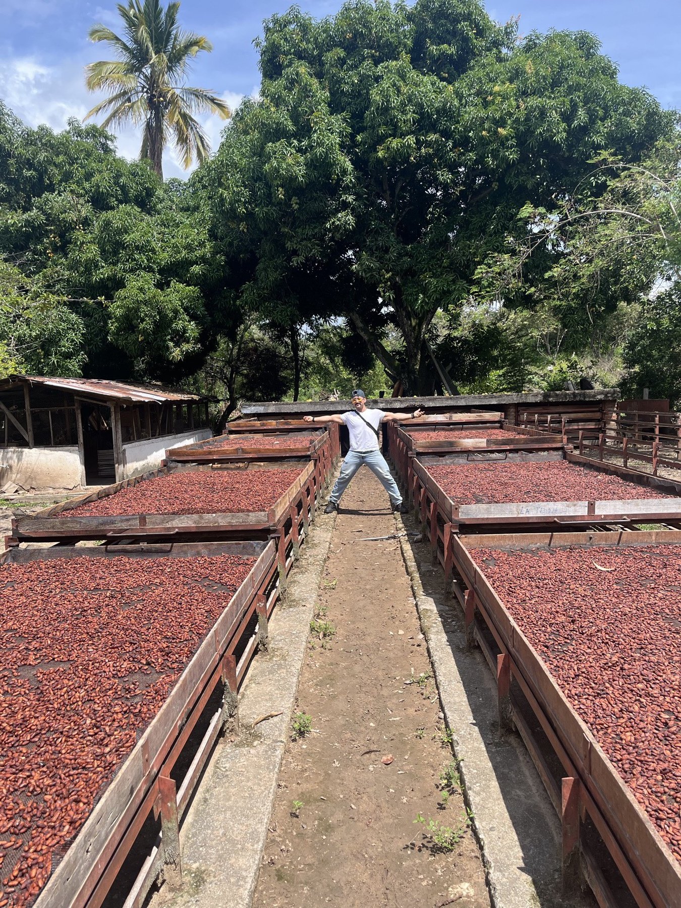 David en medio de los secaderos de cacao en Huila