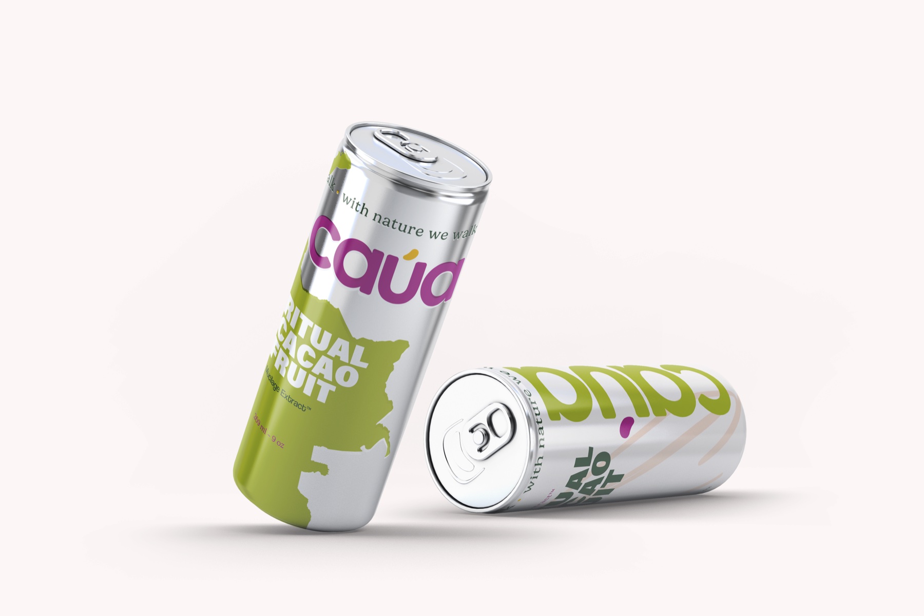Functional Beverage — lata 269ml